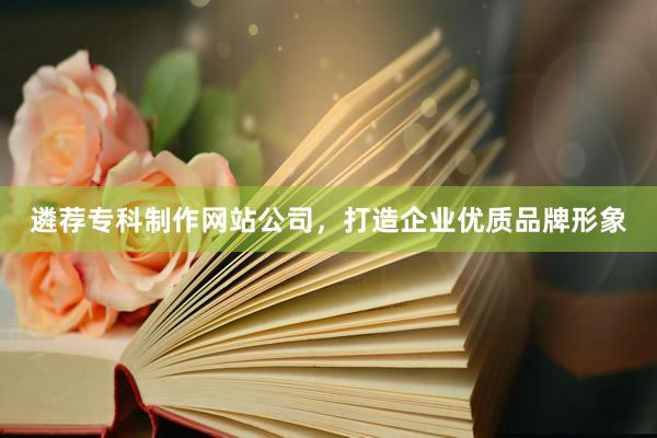 遴荐专科制作网站公司，打造企业优质品牌形象