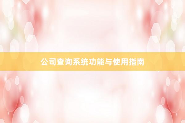 公司查询系统功能与使用指南